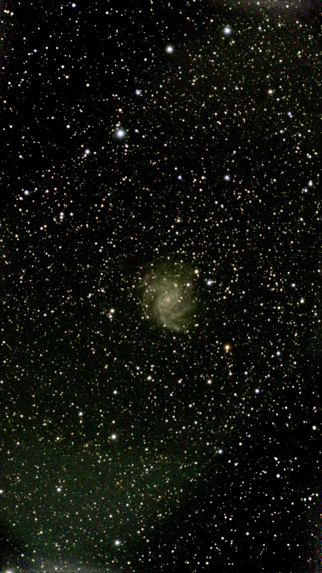 NGC 6946.jpg